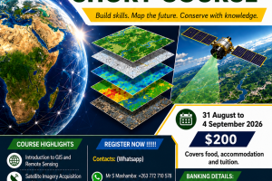 Final GIS flyer