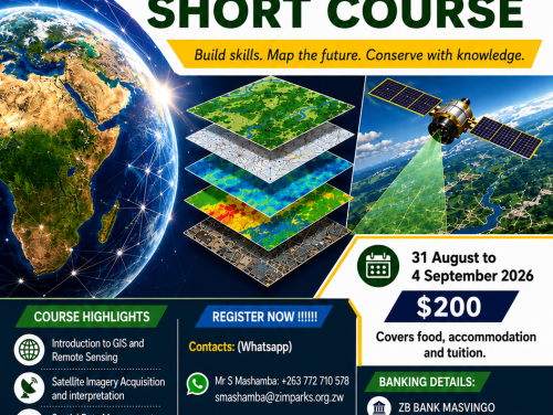 Final GIS flyer