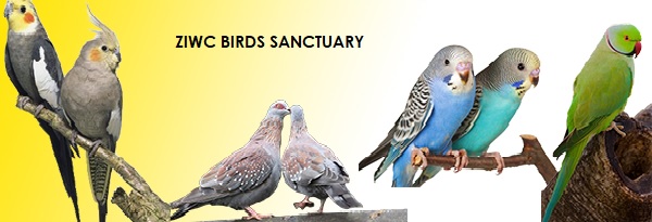 birds sanctuary